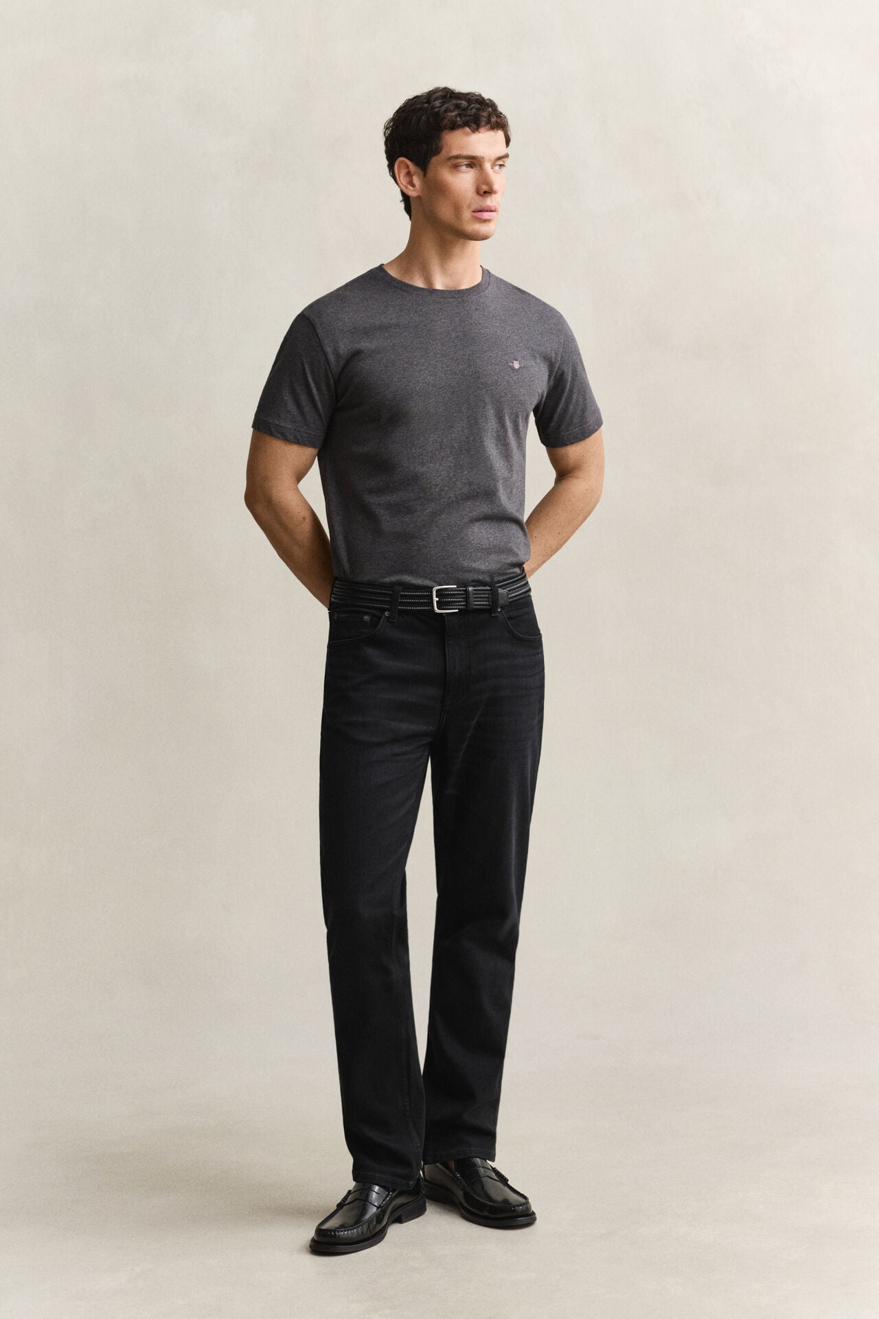 Regular Fit Shield T-Shirt